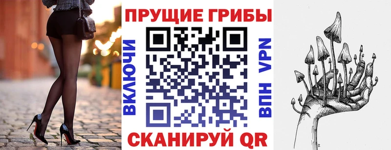 где купить   Владикавказ  Псилоцибиновые грибы GOLDEN TEACHER 