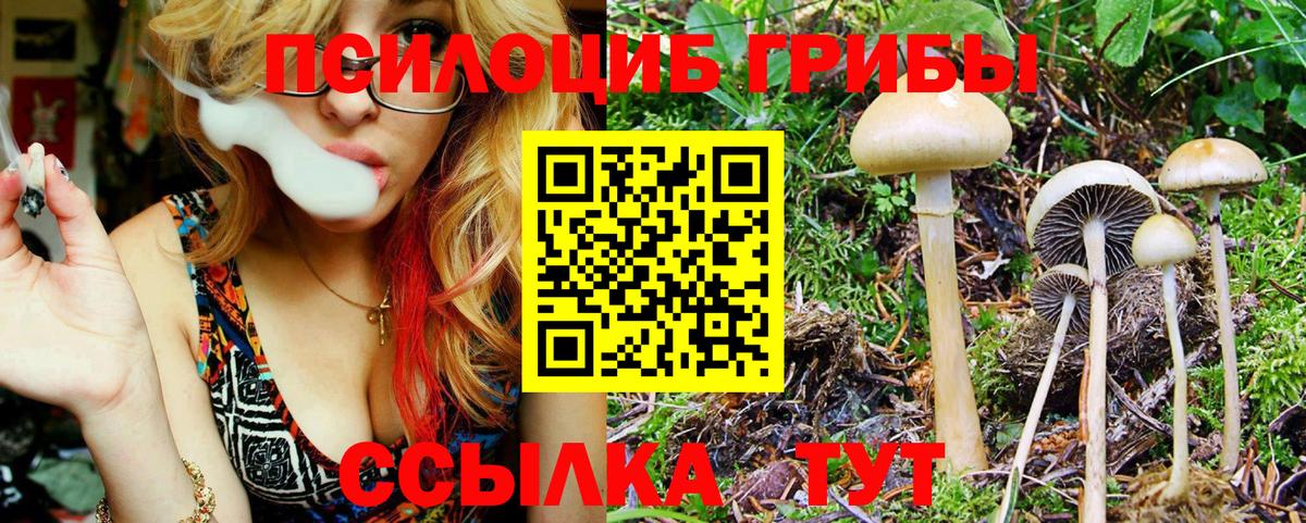 Владикавказ  Галлюциногенные грибы мухоморы  Вход с VPN 