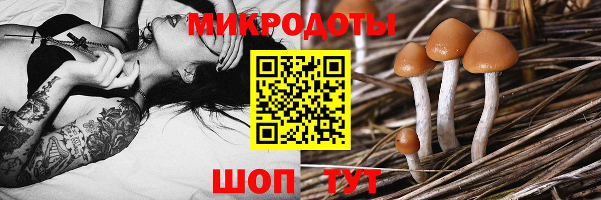 Меф   Кокаин  Владикавказ  Каннабис  Гашиш  APVP СК кристаллы  Гашиш  Вход с VPN 