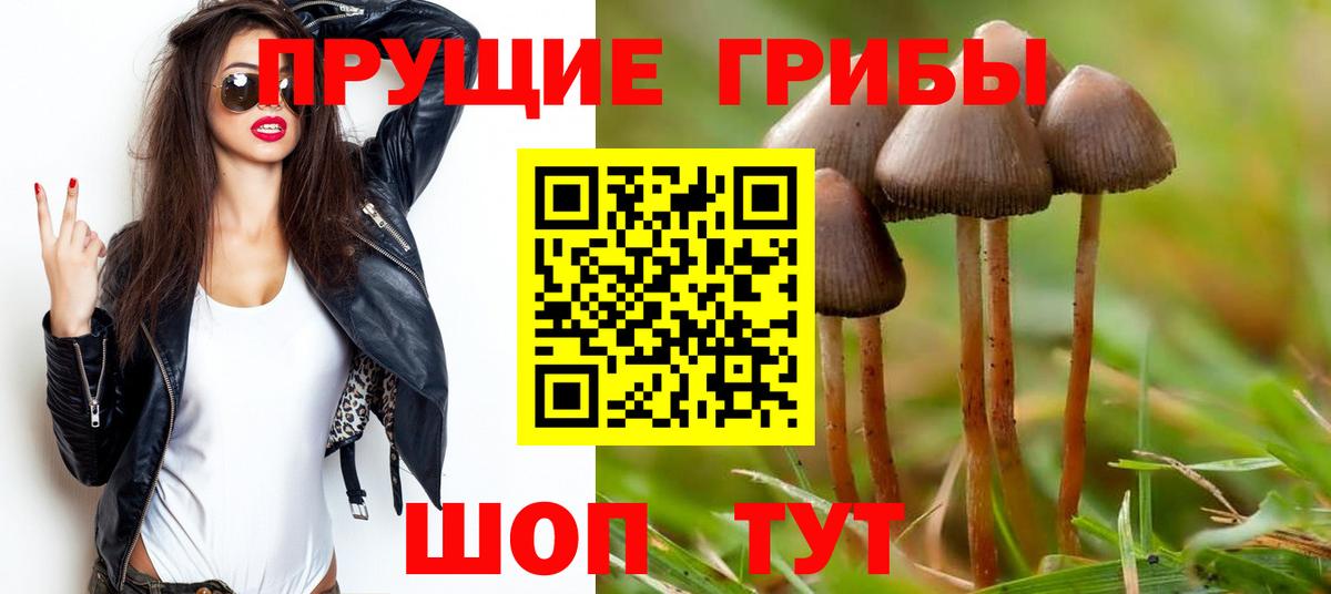 Псилоцибиновые грибы Psilocybe Владикавказ
