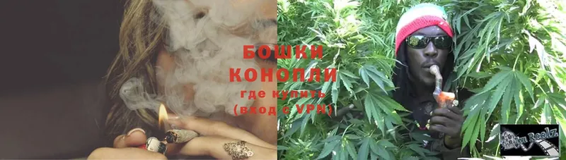 как найти   Владикавказ  Конопля White Widow 